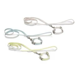 BEEZTEES Halsband PUPPY SET Collar & Leash 20-30cm/120cm Versch Farben Für Hunde