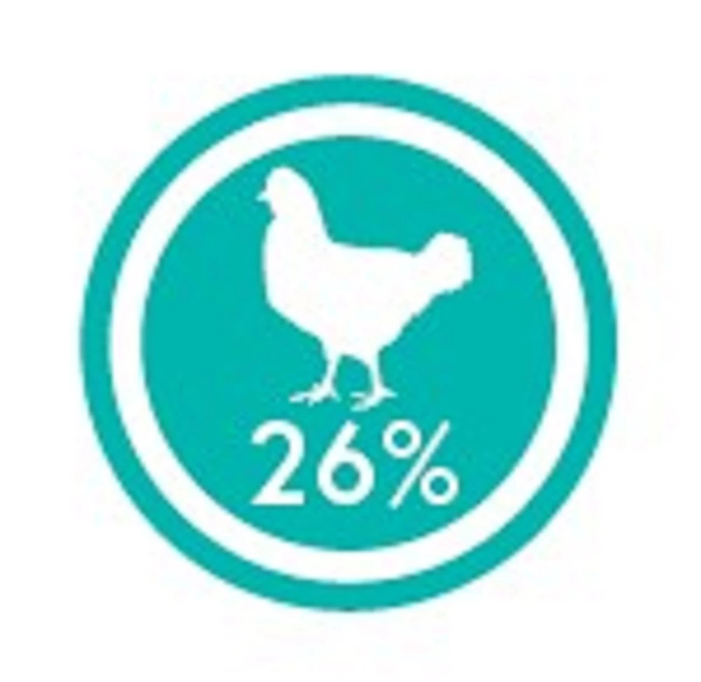 CRAZYPET® Trockenfutter HUHN Mit Süßkartoffel Getreidefrei Für Hunde – Bild 3