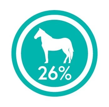 CRAZYPET® Trockenfutter PFERD Mit Süßkartoffeln Getreidefrei Für Hunde – Bild 3