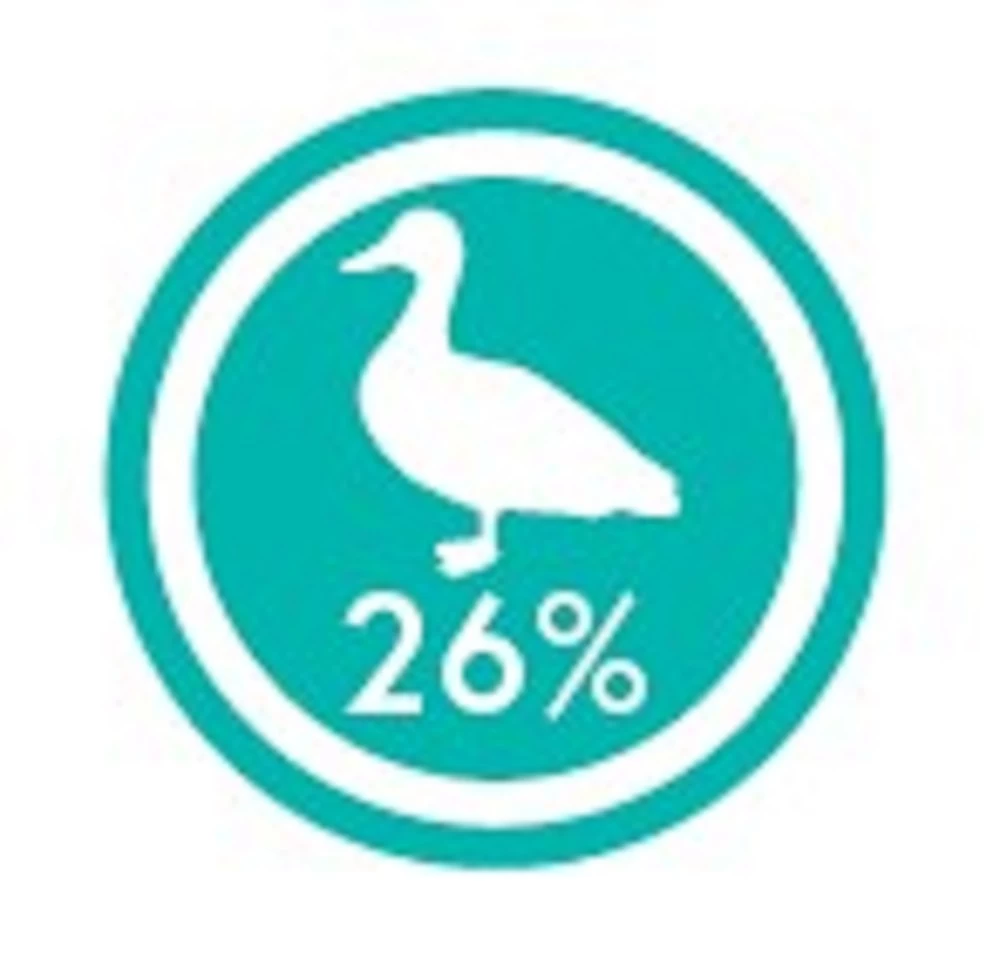 CRAZYPET® Trockenfutter ENTE Mit Süßkartoffel Getreidefrei Für Hunde – Bild 3