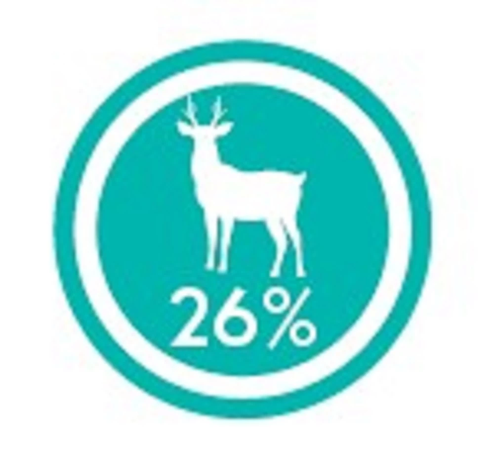 CRAZYPET® Trockenfutter WILD Mit Süßkartoffel Getreidefrei Für Hunde – Bild 3