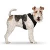 CURLI Brustgeschirr Plush Basic AIR-MESH Black Für Hunde