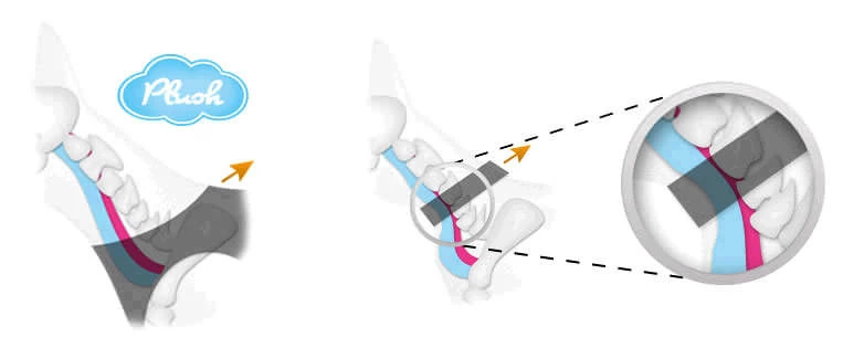 CURLI Brustgeschirr Plush Basic AIR-MESH Brown Für Hunde – Bild 3