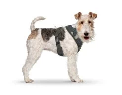 CURLI Brustgeschirr Plush Basic AIR-MESH Camouflage Für Hunde