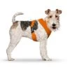 CURLI Brustgeschirr Plush Basic AIR-MESH Orange Für Hunde