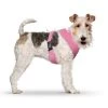 CURLI Brustgeschirr Plush Basic AIR-MESH Pink Für Hunde