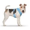 CURLI Brustgeschirr Plush Basic AIR-MESH Skyblue Für Hunde