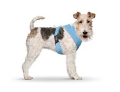 CURLI Brustgeschirr Plush Basic AIR-MESH Skyblue Für Hunde