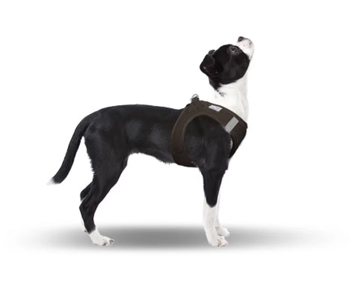 CURLI Brustgeschirr Plush Vest AIR-MESH Brown FĂĽr Hunde