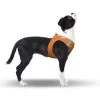 CURLI Brustgeschirr Plush Vest AIR-MESH Orange Für Hunde