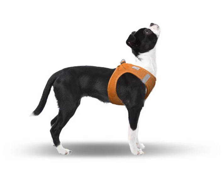 CURLI Brustgeschirr Plush Vest AIR-MESH Orange FĂĽr Hunde