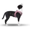 CURLI Brustgeschirr Plush Vest AIR-MESH Pink Für Hunde