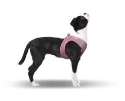 CURLI Brustgeschirr Plush Vest AIR-MESH Pink Für Hunde