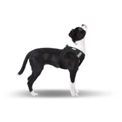 CURLI Brustgeschirr Plush Vest SOFTSHELL Black Für Hunde