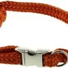 DINOLEINE Halsband KLICK-HALSBAND Polyester 11mm Größe L/45-70cm Für Hunde