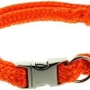 DINOLEINE Halsband KLICK-HALSBAND Polyester 11mm Größe S/30-45 Cm Für Hunde
