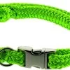 DINOLEINE Halsband KLICK-HALSBAND Polyester 8mm Größe M/35-55cm Für Hunde
