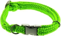 DINOLEINE Halsband KLICK-HALSBAND Polyester 8mm Größe M/35-55cm Für Hunde