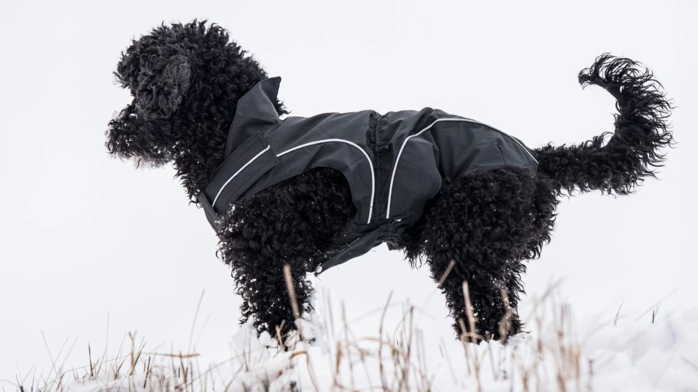 DOGBITE Regenjacke MATT Fexible-System Schwarz Mantel FĂĽr Hunde