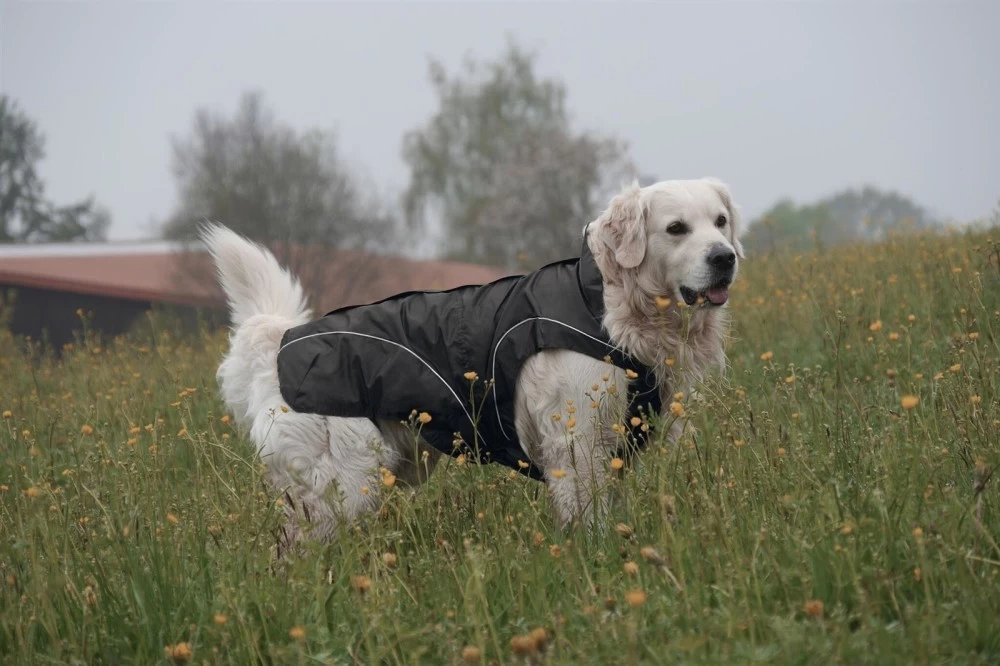DOGBITE Regenjacke MATT Fexible-System Schwarz Mantel Für Hunde – Bild 3