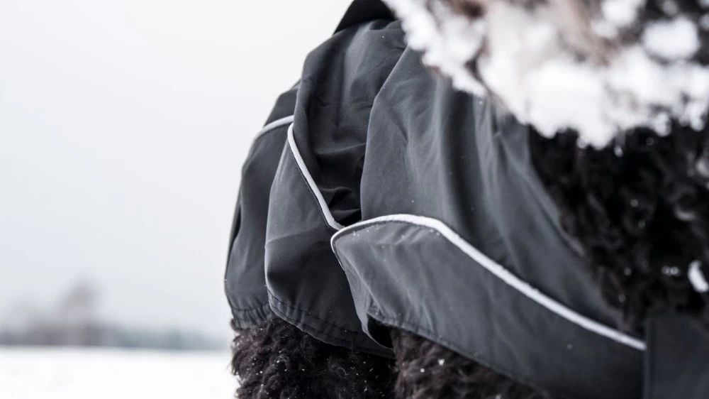 DOGBITE Regenjacke MATT Fexible-System Schwarz Mantel Für Hunde – Bild 5