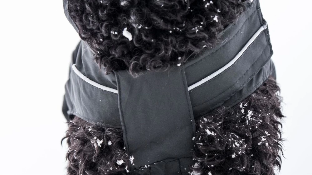 DOGBITE Regenjacke MATT Fexible-System Schwarz Mantel Für Hunde – Bild 6