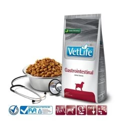FARMINA Trockenfutter VET LIFE NATURAL DIET Gastrointestinal Für Hunde