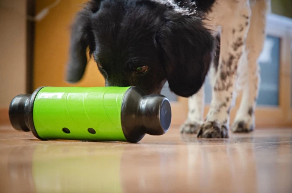 HOLLAND ANIMAL CARE Futterrolle Eat Slow Feed & Treat Grün Für Hunde Katzen – Bild 2