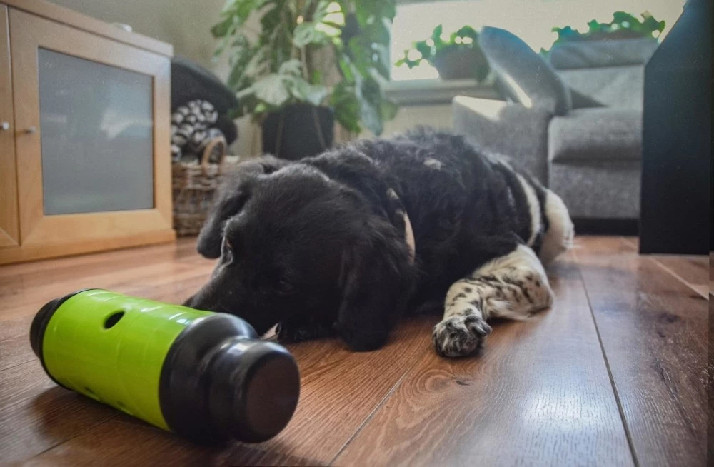 HOLLAND ANIMAL CARE Futterrolle Eat Slow Feed & Treat Grün Für Hunde Katzen – Bild 3