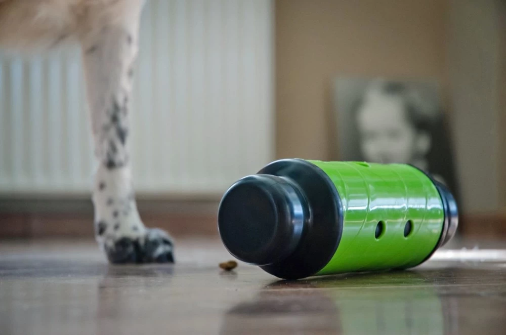 HOLLAND ANIMAL CARE Futterrolle Eat Slow Feed & Treat Grün Für Hunde Katzen – Bild 4