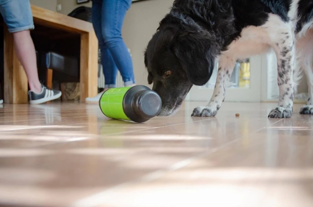 HOLLAND ANIMAL CARE Futterrolle Eat Slow Feed & Treat Grün Für Hunde Katzen – Bild 5