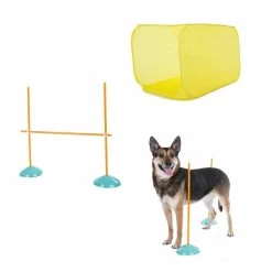 HOLLAND ANIMAL CARE Hundesport Agility Indoor Starter Kit 7-teilig Für Hunde