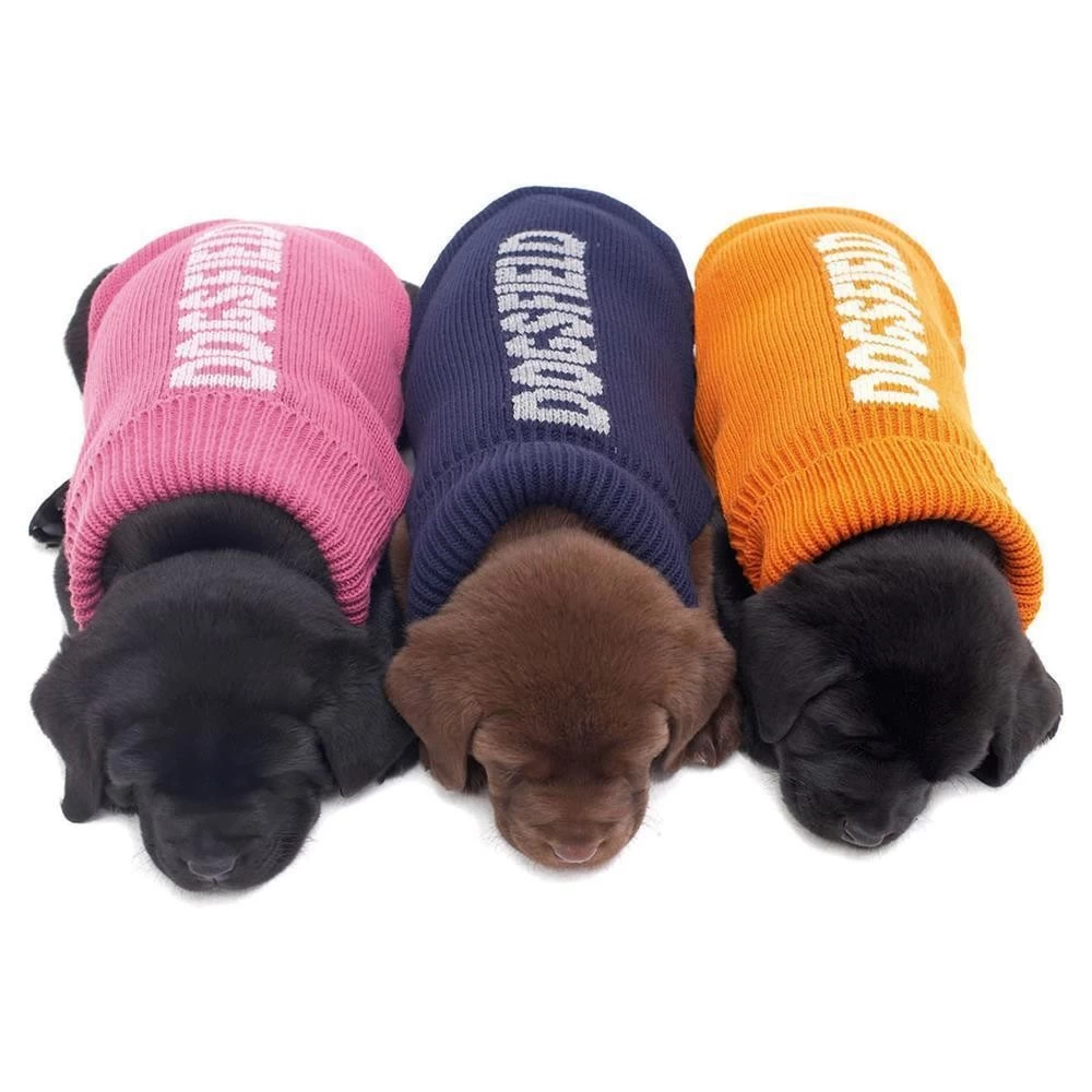 HUNTER Strickpullover BASIC Orange Verschiedene Größen Für Hunde – Bild 2