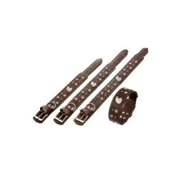 KARLIE FLAMINGO Tibet Halsband Eagle Braun, 70cm X 55mm Mit Kehlkopfschutz Für Hunde