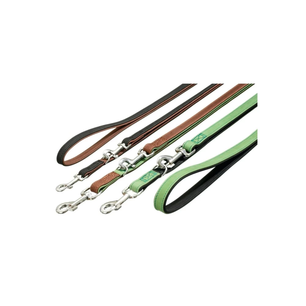 KARLIE Führleine WAIDMANNS HEIL 14mm 200cm Grün/Schwarz Für Hunde – Bild 2