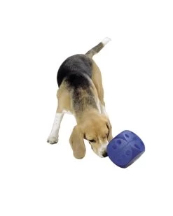 KARLIE Futterball BUSTER CUBE Für Hunde Verschiedene Größen