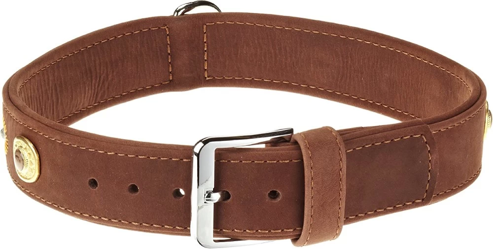 KARLIE Halsband Buffalo Deco 24mm 35cm Braun Mit Ornament FĂŒr Hunde â Bild 2