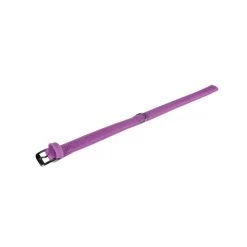 KARLIE Halsband BUFFALO Violett 60cm 30mm Genäht Leder Mit Adresstube Für Hunde