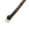 KARLIE Halsband BUFFALO Waidmanns Heil 35mm 50cm Leder Schwarz/Braun Für Hunde