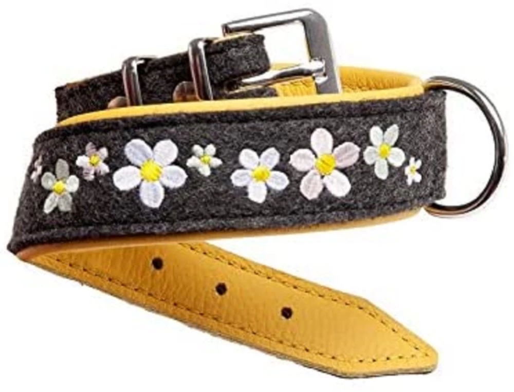 KARLIE Halsband SOLEIL Filz/Leder 60cm 40mm Anthrazit/gelb Unterlegt Für Hunde – Bild 3