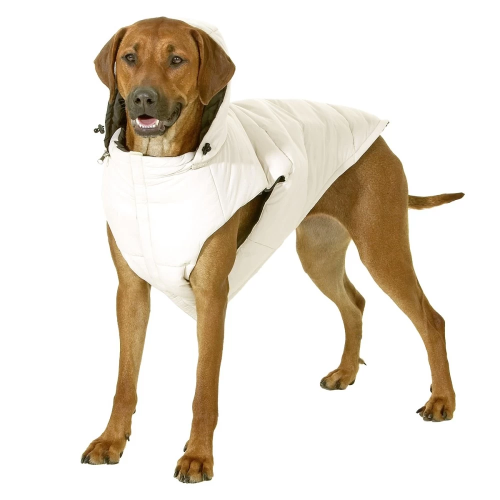 KARLIE Hunde Wendeweste JACKY Mit Kapuze GrĂŒn/Beige