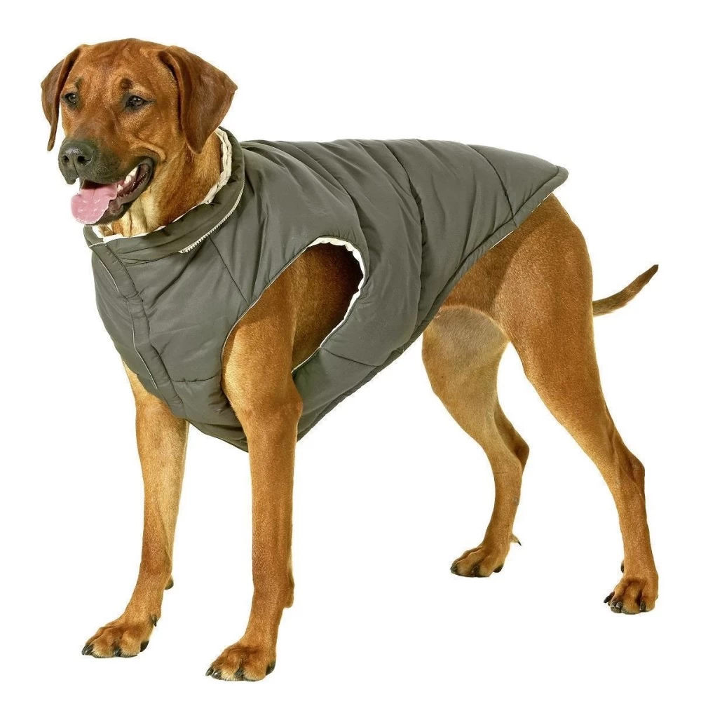 KARLIE Hunde Wendeweste JACKY Mit Kapuze GrĂŒn/Beige â Bild 2