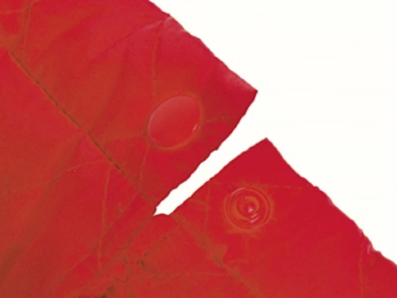 KARLIE Hundemantel DOG COAT Schwarz Verschiedene Größen – Bild 3