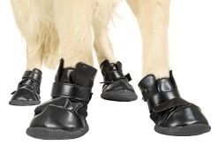 KARLIE Hundeschuhe XTREME BOOTS In Verschiedenen Größen