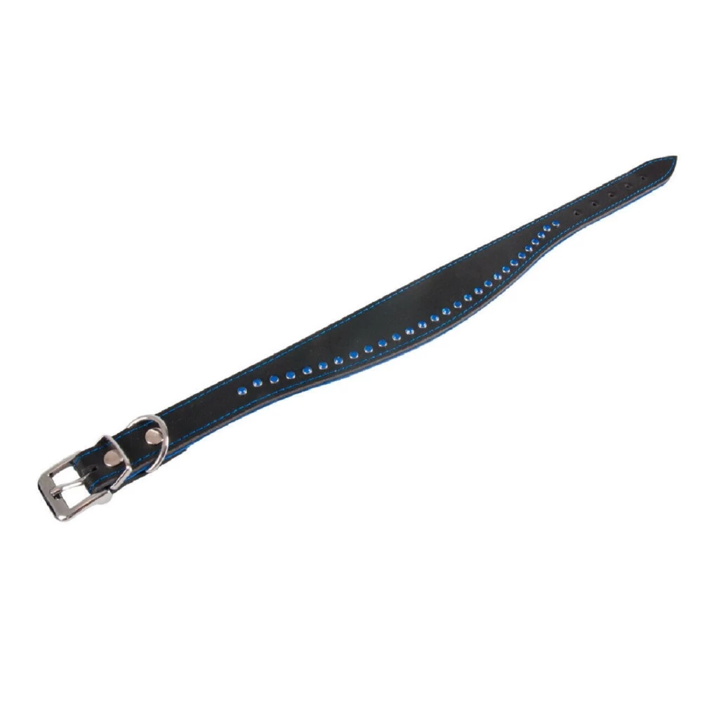 KARLIE Lederhalsband CHIC Strassbesatz Schwarz/Blau Oder Schwarz/Grau Für Hunde – Bild 2