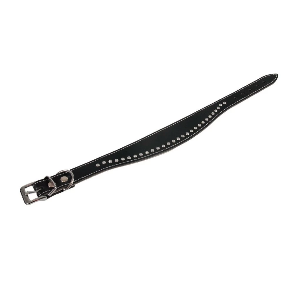 KARLIE Lederhalsband CHIC Strassbesatz Schwarz/Blau Oder Schwarz/Grau Für Hunde – Bild 3