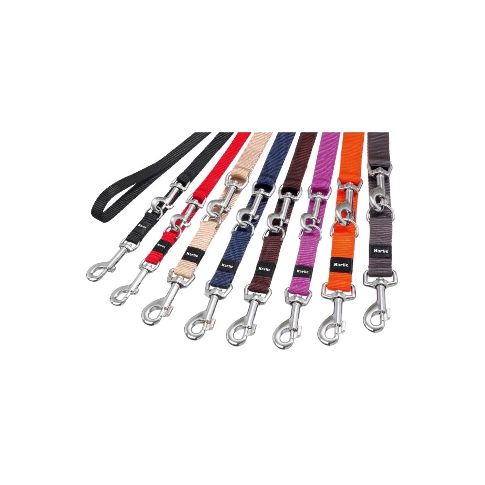 KARLIE Leine ART SPORTIV PLUS Führleine 25mm X 200cm Beige Für Hunde – Bild 2