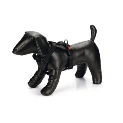 KARLIE Y-Geschirr ART SPORTIV Premium Neopren Versch. Größen Farben Für Hunde