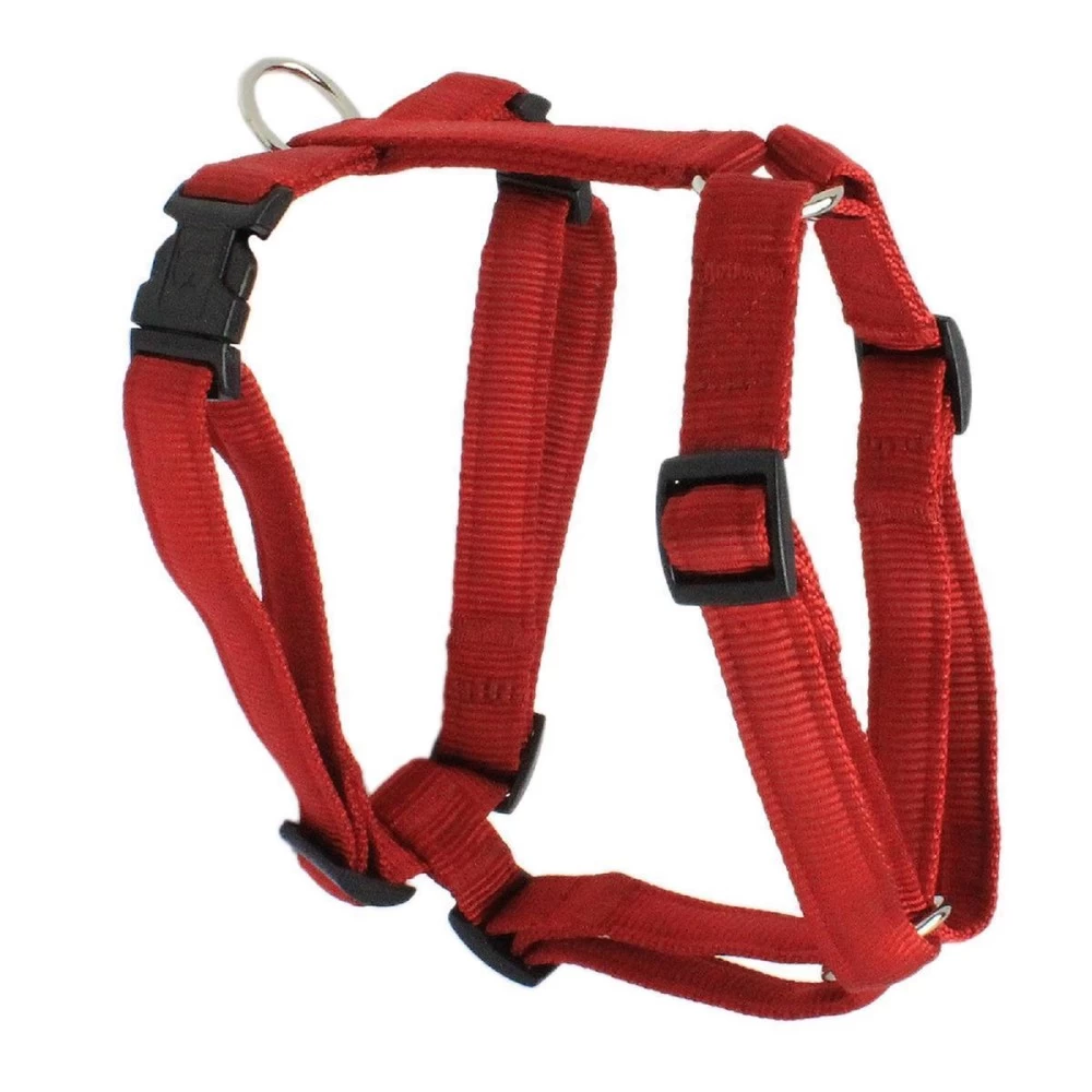 KOCH Geschirr NYLON-GESCHIRR UNI 20mm 50-72cm Gepolstert Für Hunde – Bild 2