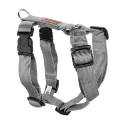 KOCH Geschirr NYLON-GESCHIRR UNI 25mm 45-60cm Gepolstert Für Hunde